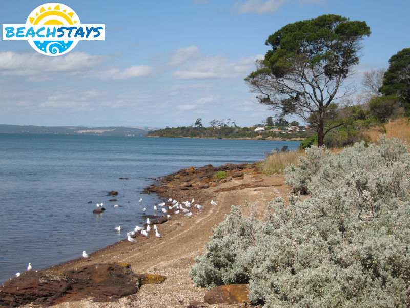Coastal reserve and foreshore near jetty