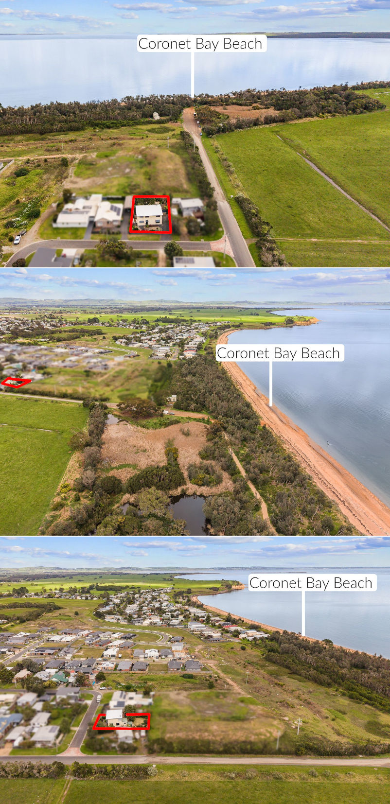 Coronet Bluebelle - Location
