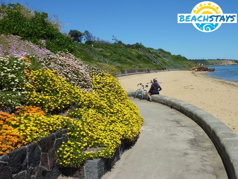 Pathway along beach