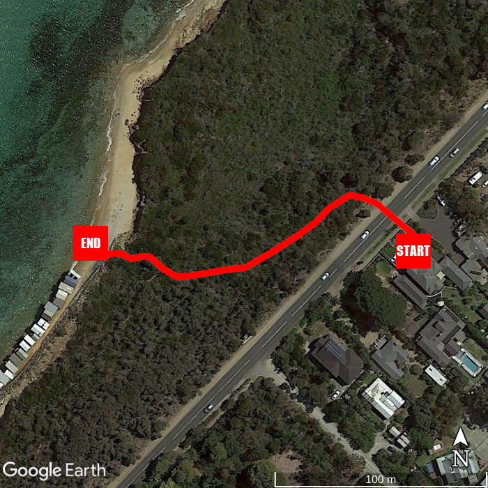 Beach walking map - Mt Martha B&B By the Sea