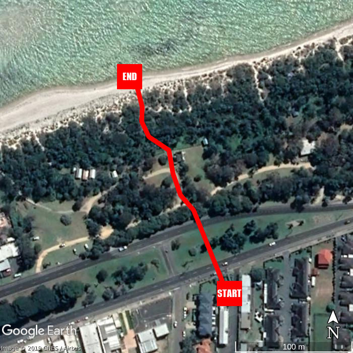 Beach walking map - Admiral Motor Inn