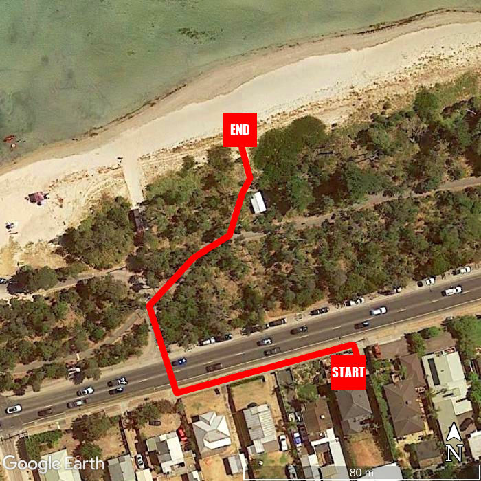 Beach walking map - ShoreLine