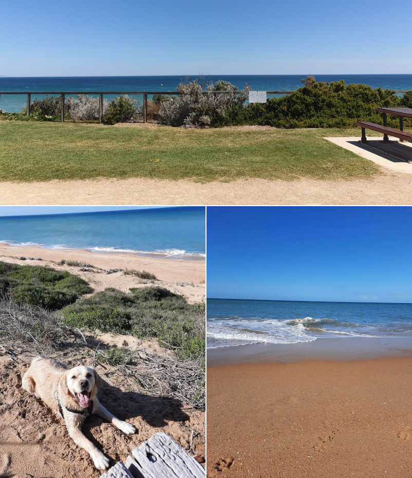 Murphys Pad - Beach and foreshore