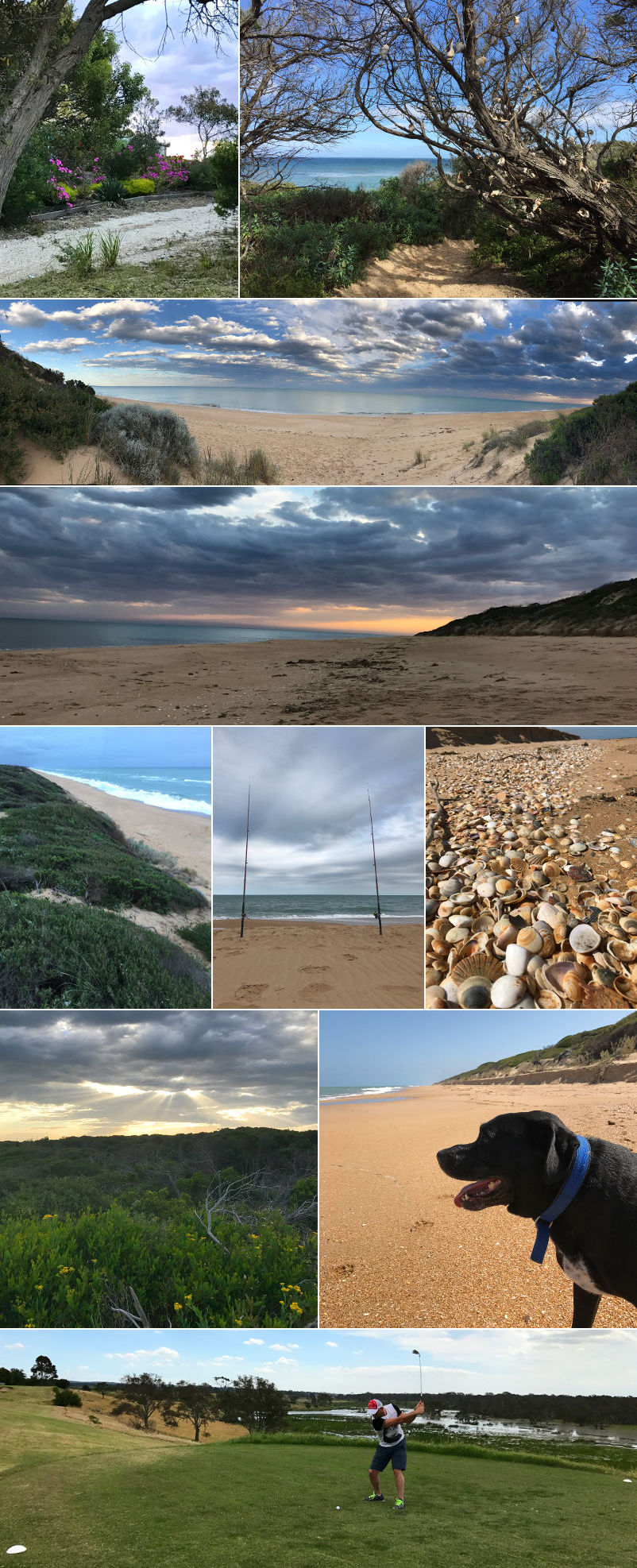 Peace of Paradise - Beach and surroundings