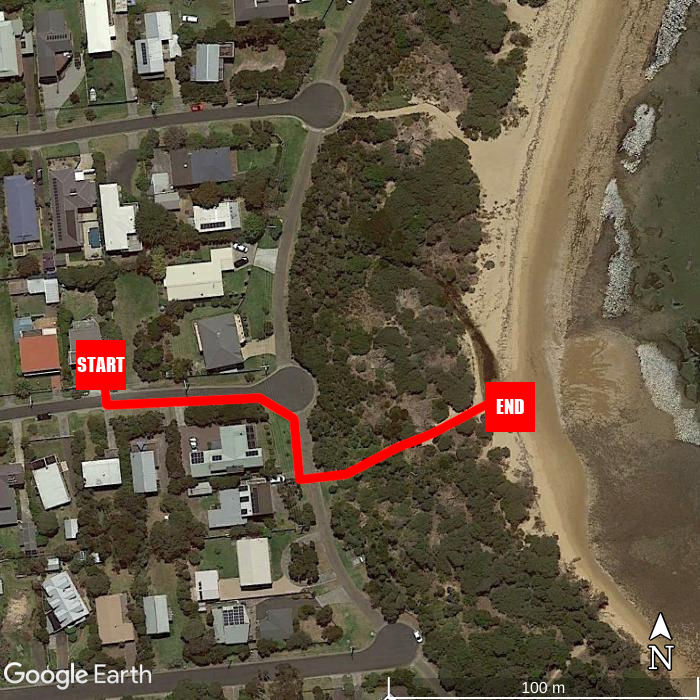 Beach walking map - Seashell on the Seashore