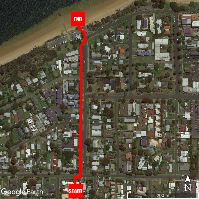 Beach walking map - Penguin Place