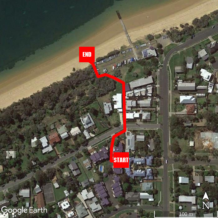 Beach walking map - Penguins by the Beach