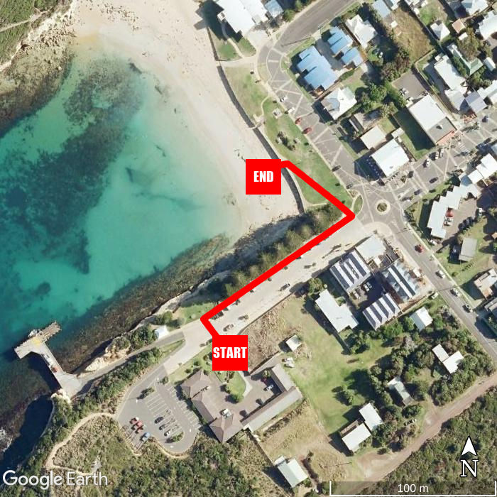 Beach walking map - Southern Ocean Motor Inn
