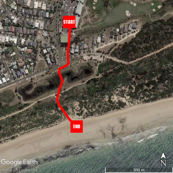 Beach walking map - The Sands Torquay