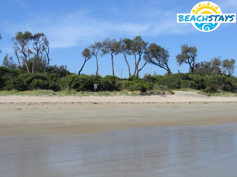 Beach and foreshore