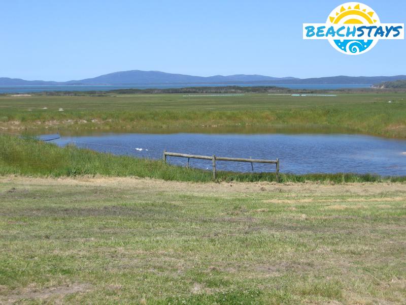 Lush countryside around Corner Inlet